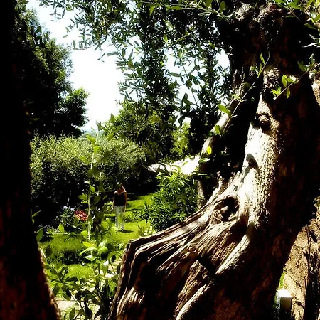 Delle Mura Anna De Croy Magliano in Toscana